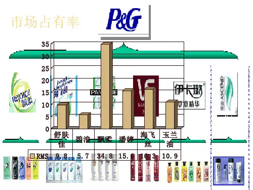 公司波士顿矩阵分析案例