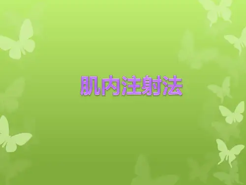 肌内注射法