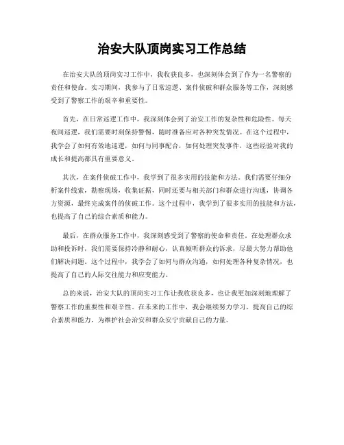 治安大队顶岗实习工作总结
