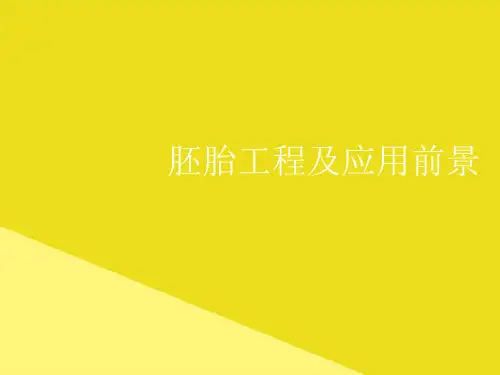 胚胎工程及应用前景PPT资料(正式版)