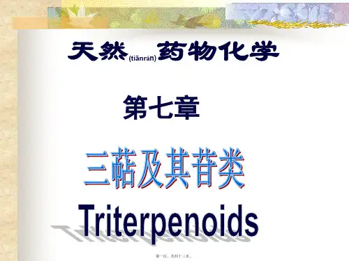 天然药物化学PowerPointPresentati(ppt版)
