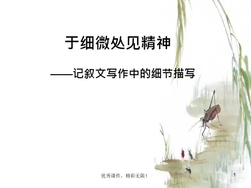 优秀语文作文指导ppt课件细节描写
