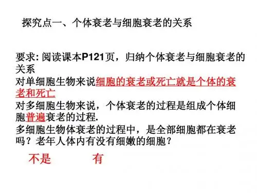 细胞的衰老和凋亡