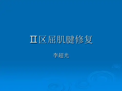 肌腱