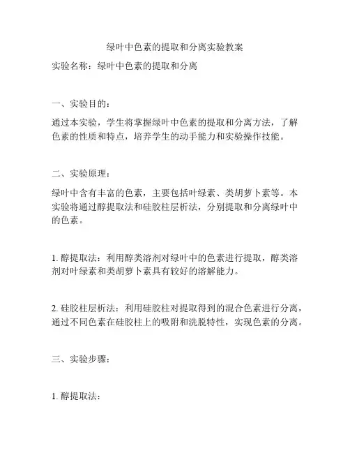 绿叶中色素的提取和分离实验教案