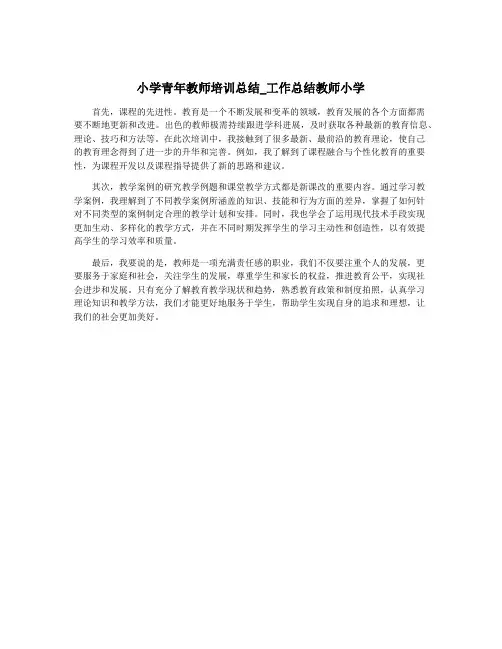 小学青年教师培训总结_工作总结教师小学