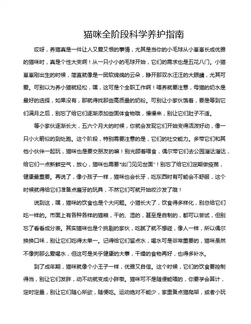 猫咪全阶段科学养护指南