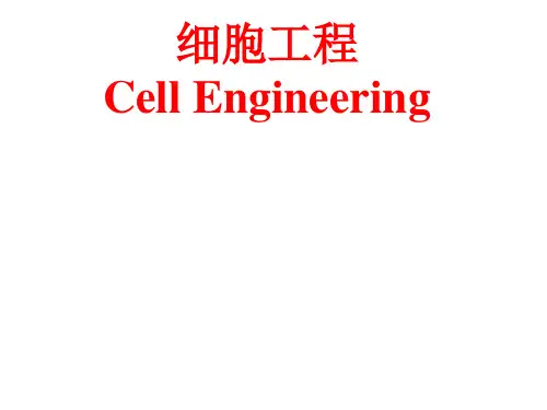 细胞工程课件 第一章 细胞工程