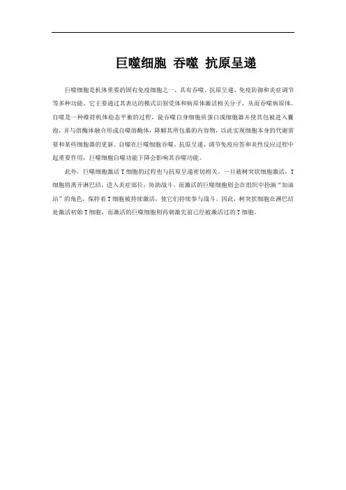 巨噬细胞 吞噬 抗原呈递