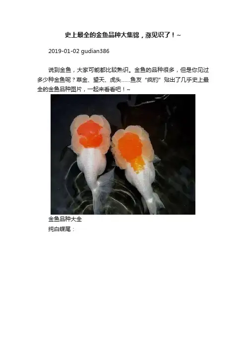 史上最全的金鱼品种大集锦，涨见识了！~