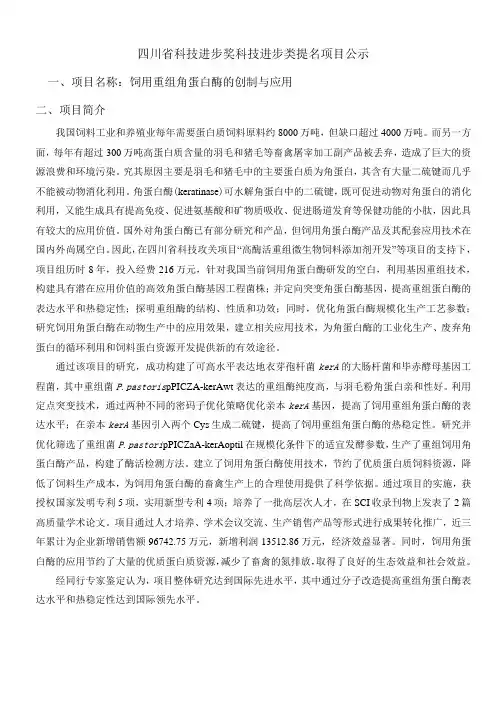 四川科技进步奖—科技进步类推荐书
