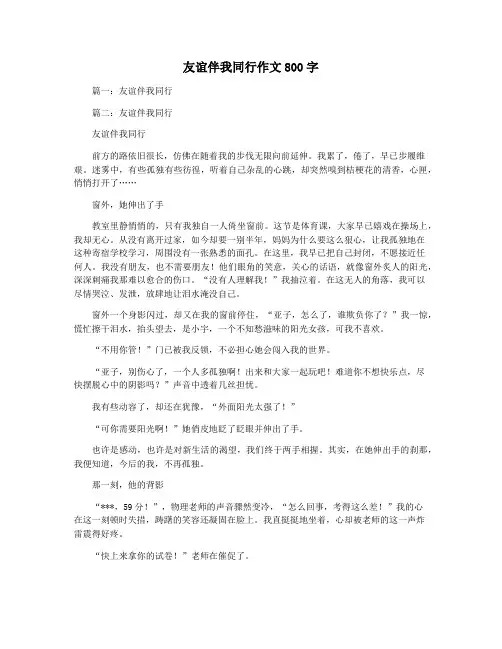 友谊伴我同行作文800字