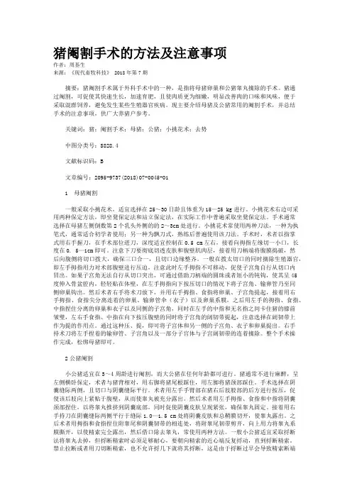 猪阉割手术的方法及注意事项
