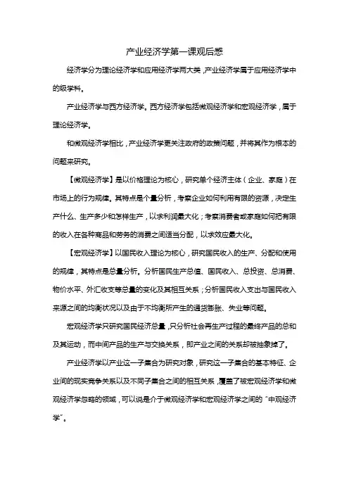 产业经济学第一课观后感