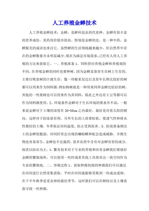 人工养殖金蝉技术