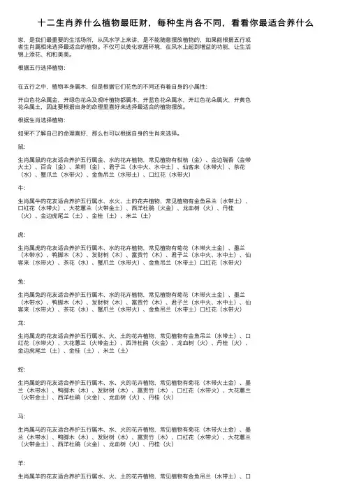 十二生肖养什么植物最旺财，每种生肖各不同，看看你最适合养什么