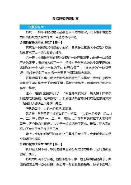 介绍蚂蚁的说明文