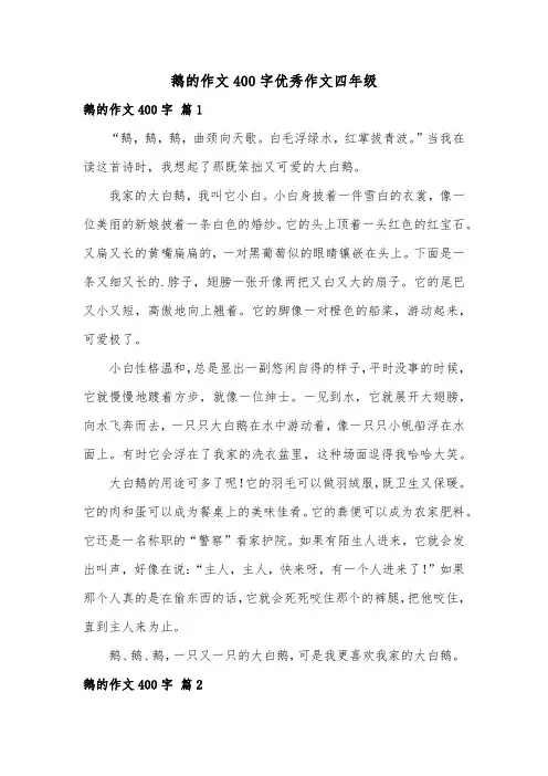 鹅的作文400字优秀作文四年级