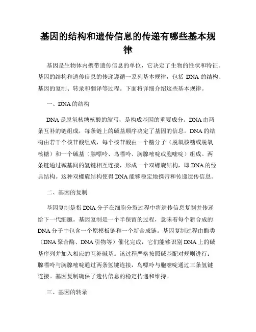 基因的结构和遗传信息的传递有哪些基本规律