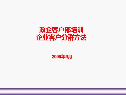 中国电信政企客户分群和业务需求分析  ppt课件