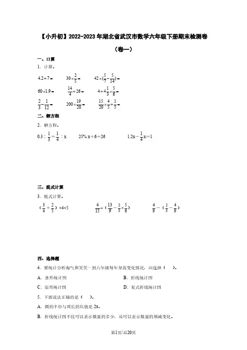 【小升初】2022-2023学年湖北省武汉市数学六年级下册期末检测卷(卷一)含解析