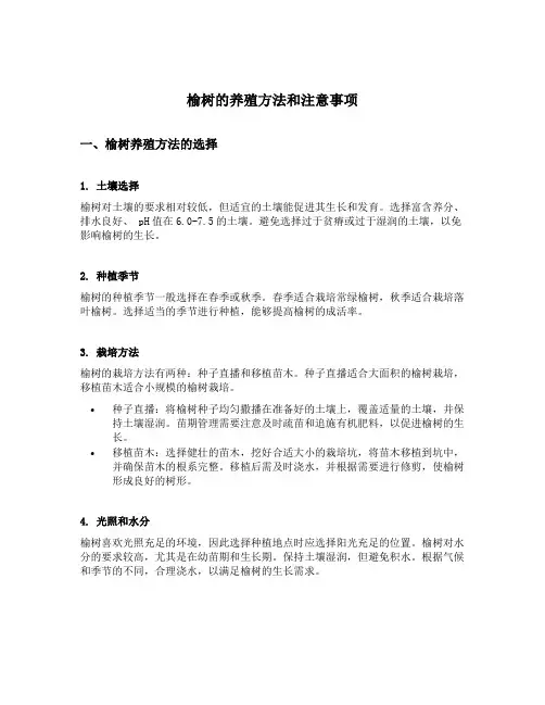 榆树怎么养殖方法和注意事项