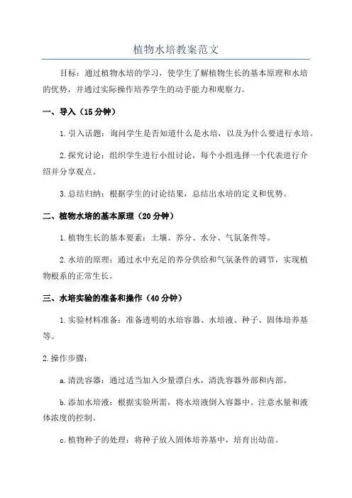 植物水培教案范文