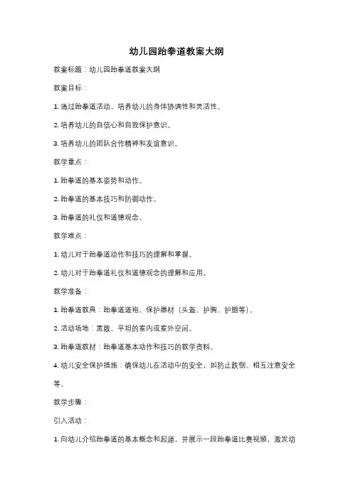 幼儿园跆拳道教案大纲