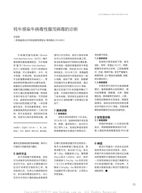 牦牛感染牛病毒性腹泻病毒的诊断