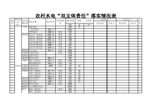 普洱市各县(区)农村水电“双主体责任”落实情况表