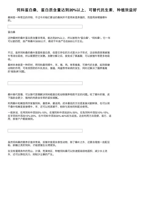 饲料蛋白桑，蛋白质含量达到20%以上，可替代抗生素，种植效益好