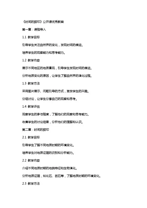 《时间的脚印》公开课教案