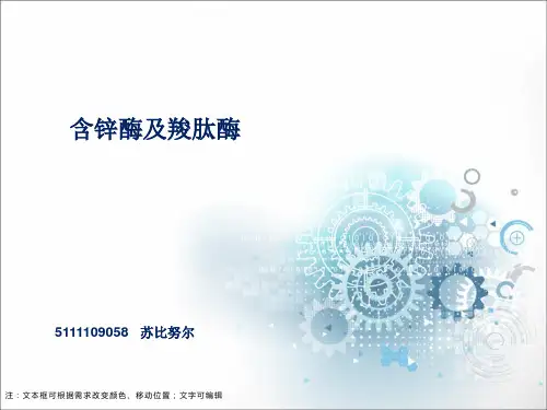 含锌酶pdf