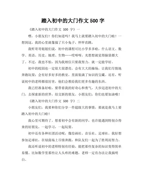 踏入初中的大门作文500字