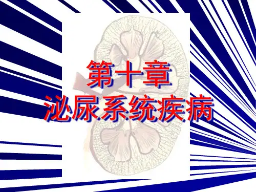 病理学-泌尿系统疾病