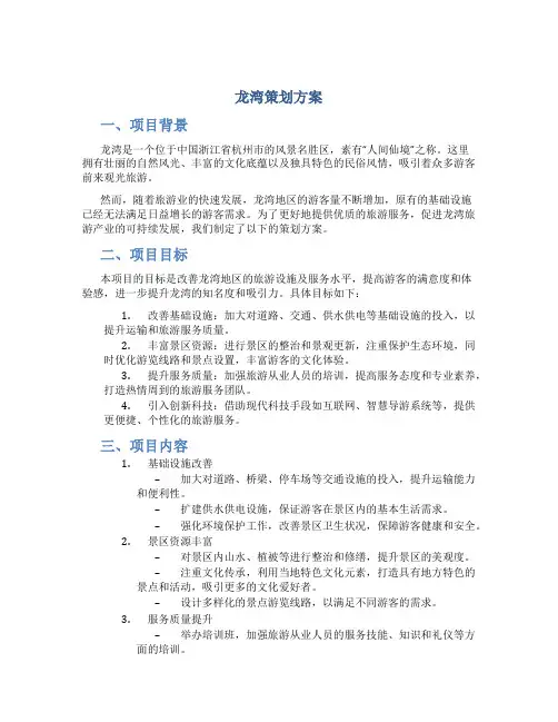 龙湾策划方案