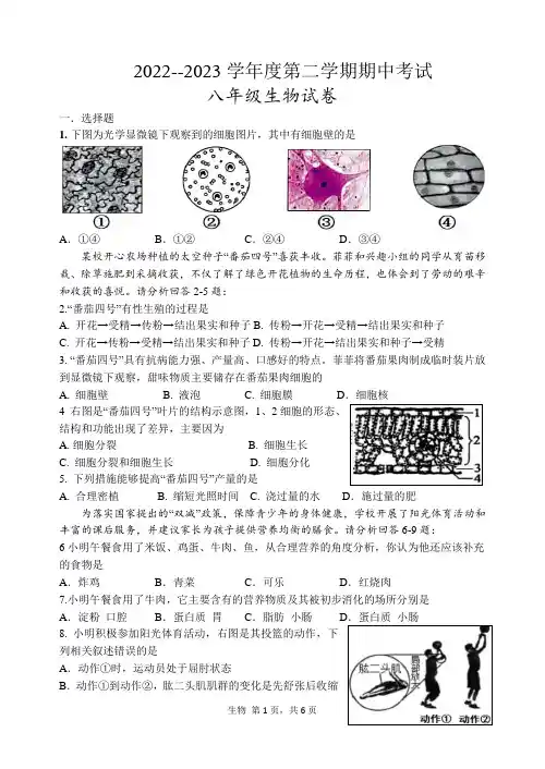 江苏省淮安市开明中学2022-2023学年八年级下学期期中生物试题