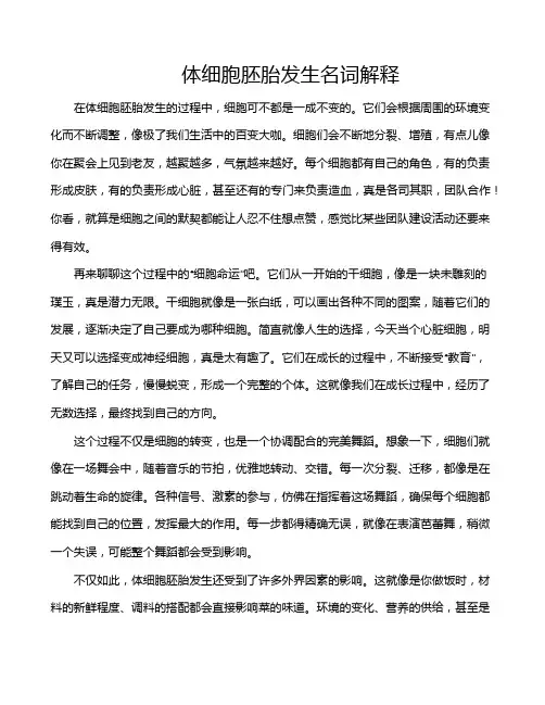 体细胞胚胎发生名词解释