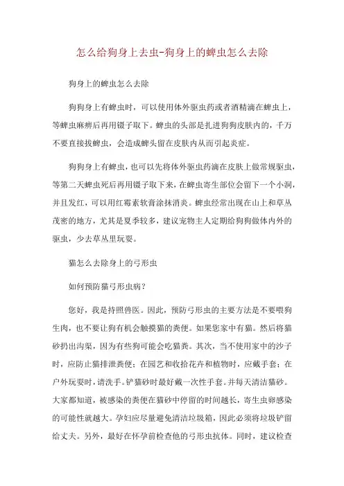 怎么给狗身上去虫-狗身上的蜱虫怎么去除