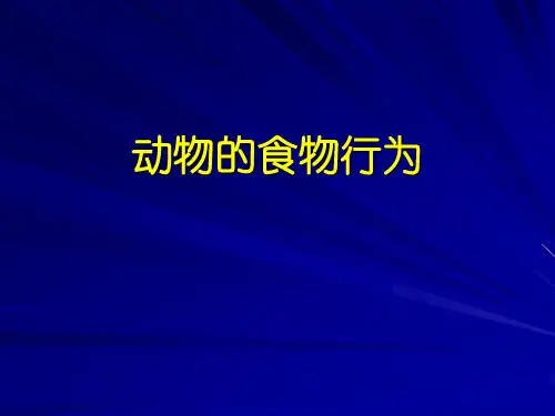 12.13次 动物的觅食行为