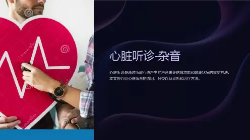 心脏听诊-杂音