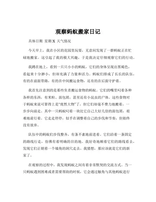 观察蚂蚁搬家日记