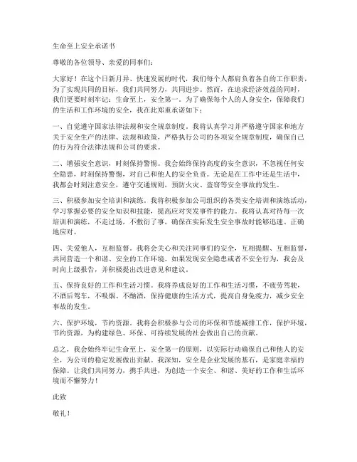 生命至上安全承诺书