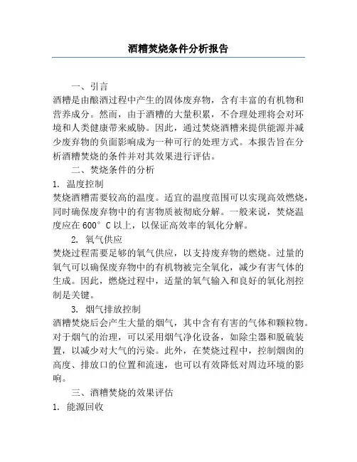 酒糟焚烧条件分析报告