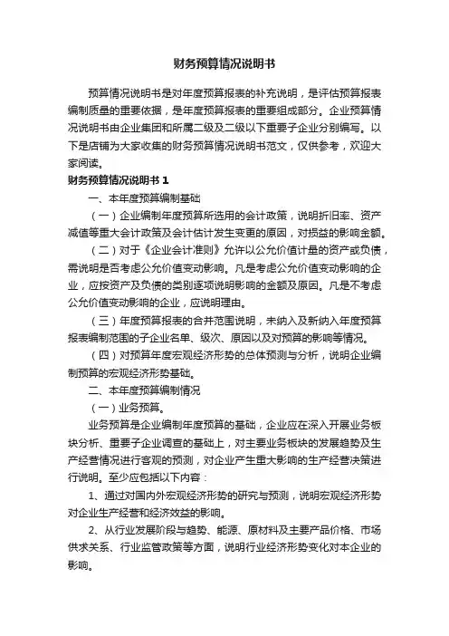 财务预算情况说明书