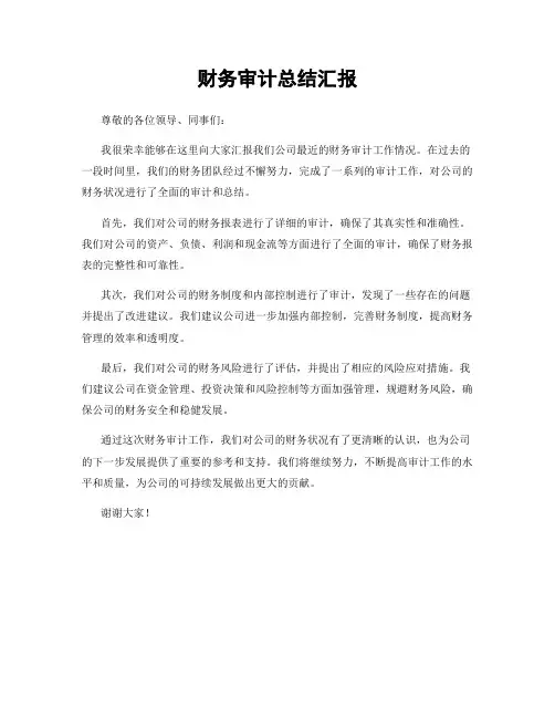 财务审计总结汇报