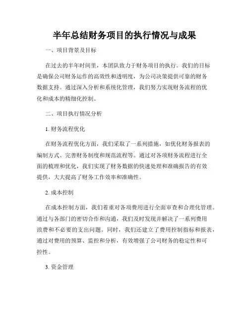 半年总结财务项目的执行情况与成果