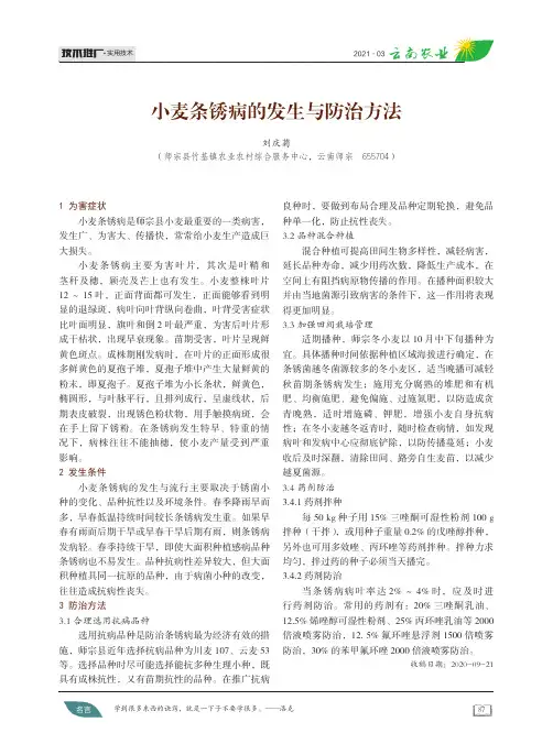 小麦条锈病的发生与防治方法