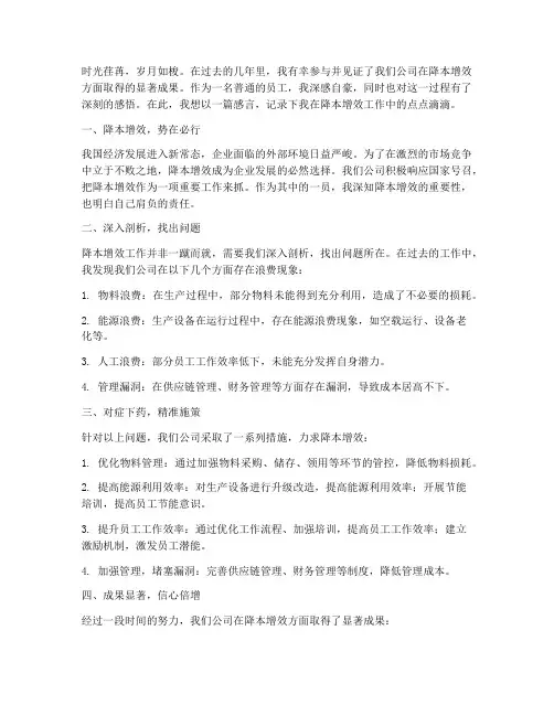 降本增效工作感言
