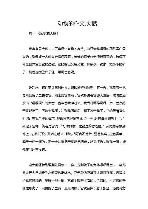 动物的作文,大鹅